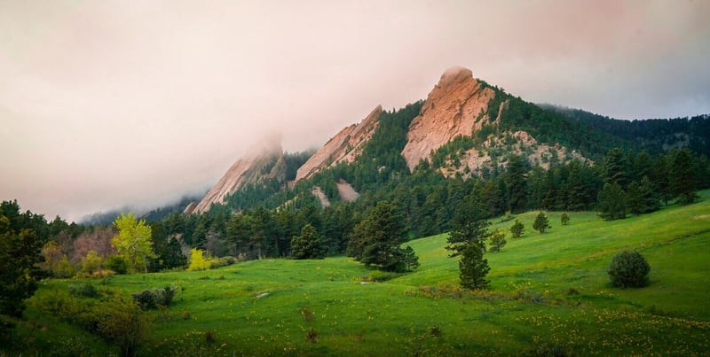 best tea experiences in boulder Colorado 
