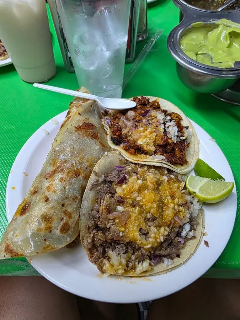 tacqueria playa sur mazatlan