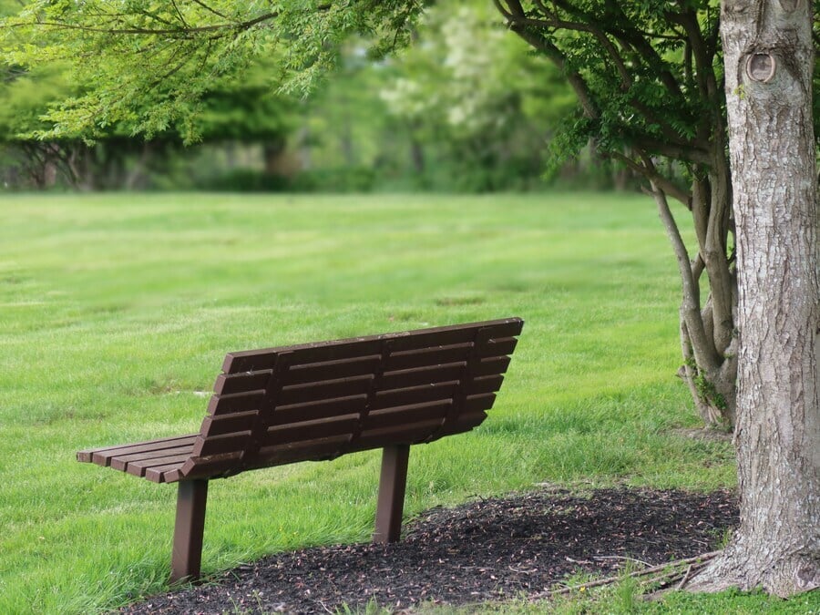 the art of delighting in people 
