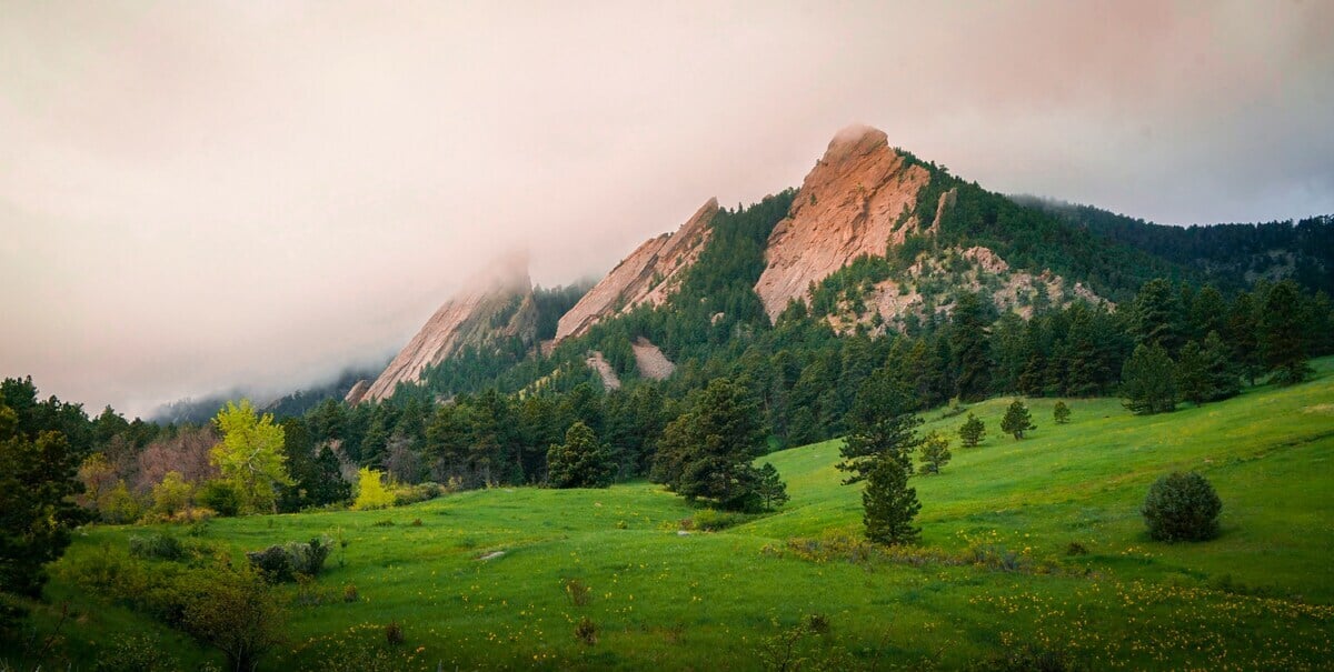 best tea experiences in boulder Colorado 